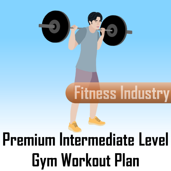 Premium Intermediate Level Gym Workout Plan